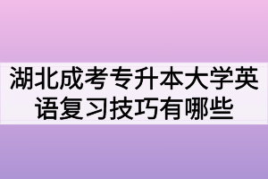 湖北成考专升本大学英语复习技巧有哪些？