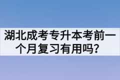 湖北成考专升本考前一个月复习有用吗？