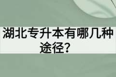 湖北专升本方式有哪几种？含金量最高的是哪种