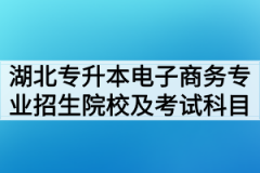 2020年湖北普通专升本电子商务专业招生院校及考试科目