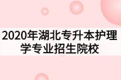 2020年湖北普通专升本护理学专业招生院校及考试科目汇总