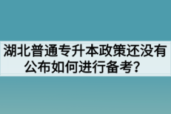 湖北普通专升本政策还没有公布如何进行备考？