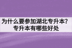 为什么要参加湖北专升本？专升本有哪些好处