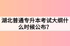 湖北普通专升本考试大纲什么时候公布？没有考试大纲如何备考