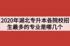 2020年湖北专升本各院校招生最多的专业是哪几个？