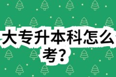 大专升本科怎么考？