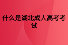 什么是湖北成人高考考试