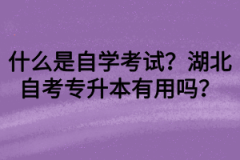 什么是自学考试？湖北自考专升本有用吗？