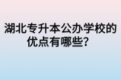 湖北专升本公办学校的优点有哪些？