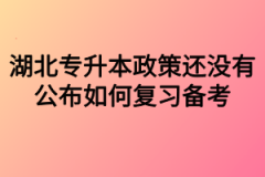 湖北专升本政策还没有公布如何复习备考？