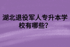 湖北退役军人专升本学校有哪些？