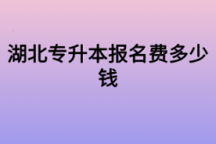 湖北专升本报名费多少钱