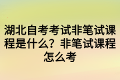 湖北自考考试非笔试课程是什么？非笔试课程怎么考