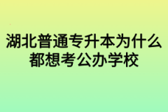 湖北普通专升本为什么都想考公办学校