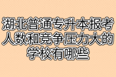 湖北普通专升本报考人数和竞争压力大的学校有哪些