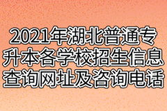 2021年湖北普通专升本各学校招生信息查询网址及咨询电话