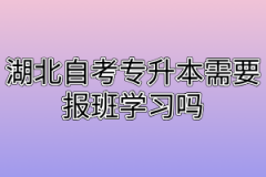 湖北自考专升本需要报班学习吗