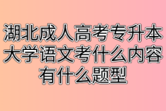 湖北成人高考专升本大学语文考什么内容？有什么题型