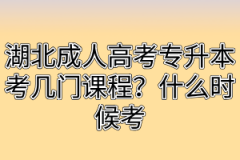 湖北成人高考专升本考几门课程？什么时候考