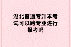 湖北普通专升本考试可以跨专业进行报考吗