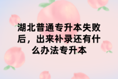 湖北普通专升本失败后，出来补录还有什么办法专升本