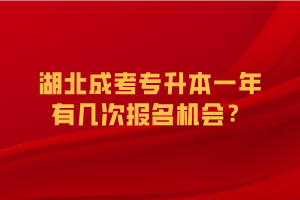 湖北成考专升本一年有几次报名机会？