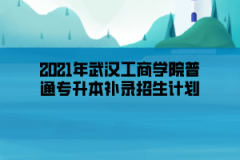 2021年武汉工商学院普通专升本补录招生计划