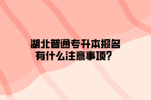 湖北普通专升本报名有什么注意事项？