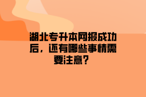 湖北专升本网报成功后，还有哪些事情需要注意？