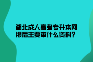 湖北成人高考专升本网报后主要审什么资料？