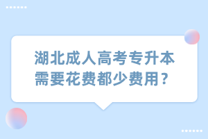 湖北成人高考专升本需要花费都少费用？