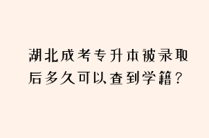 湖北成考专升本被录取后多久可以查到学籍？