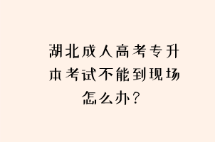 湖北成人高考专升本考试不能到现场怎么办？