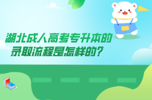 湖北成人高考专升本的录取流程是怎样的？