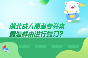 湖北成人高考专升本要怎样来进行复习？