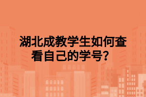 湖北成教学生如何查看自己的学号？