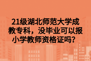 21级湖北师范大学成教专科，没毕业可以报小学教师资格证吗？