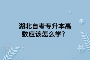 湖北自考专升本高数应该怎么学？