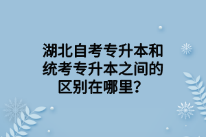 湖北自考专升本和统考专升本之间的区别在哪里？