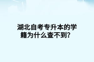 湖北自考专升本的学籍为什么查不到？