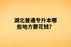 湖北普通专升本哪些地方要花钱？