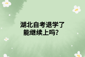 湖北自考退学了能继续上吗？