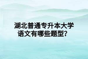 湖北普通专升本大学语文有哪些题型？