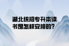 湖北统招专升本读书是怎样安排的？